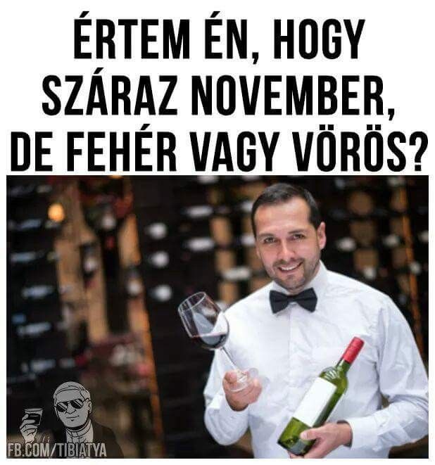 Így NE tartsd a száraz novembert! Vicces mémek és képek