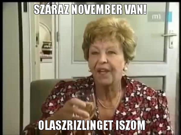 Így NE tartsd a száraz novembert! Vicces mémek és képek