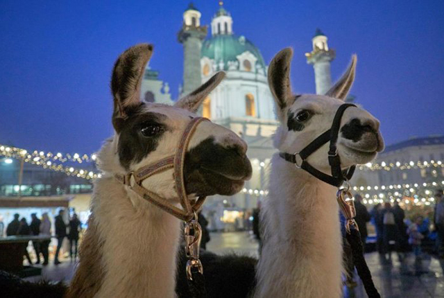 9 titkos karácsonyi vásár Bécsben