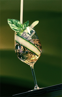 Lillet - Basil Cocktail Lillet - Basil Cocktail
